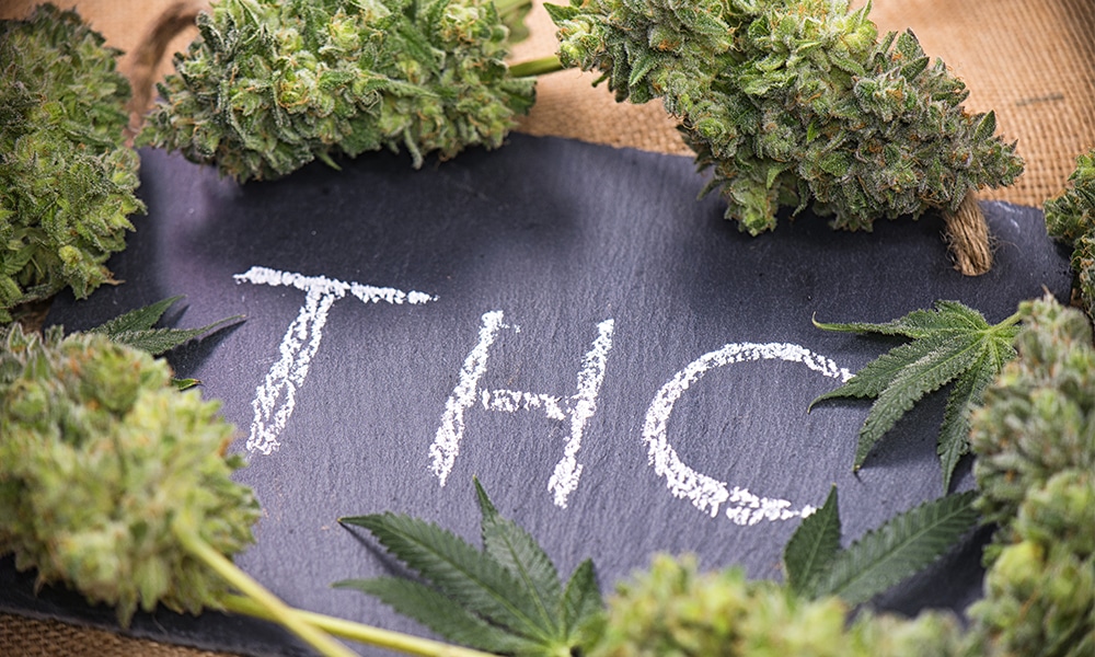 THC Half Life & Why it’s Important