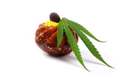 10 mg Edible For Precise Dosing