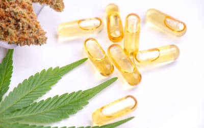 Cannabis Pills for Pain Relief